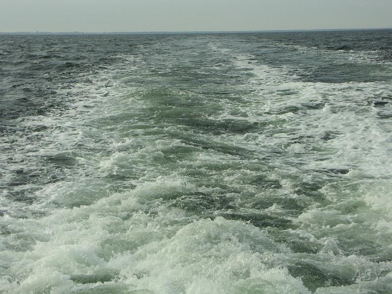 PICT1502.JPG