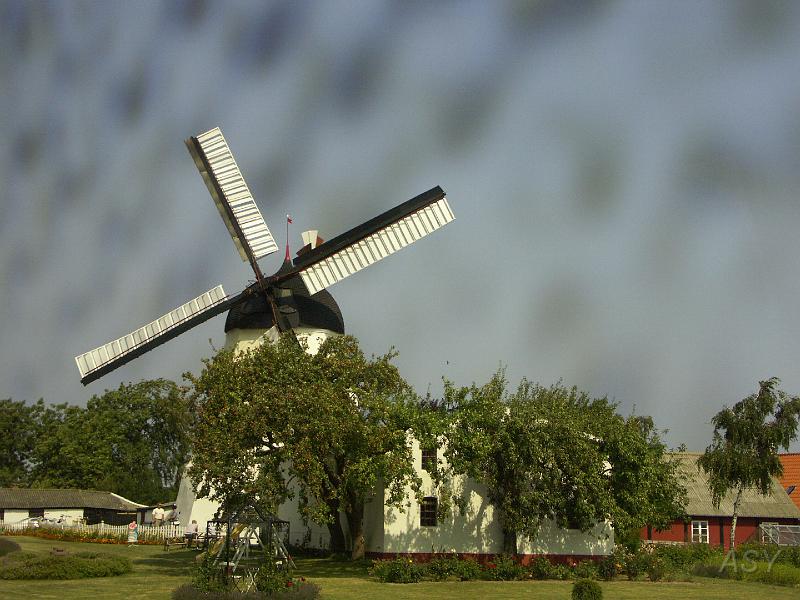 PICT1517.JPG