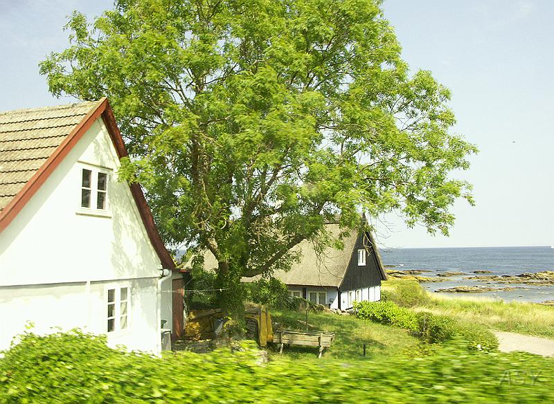 PICT1530.JPG