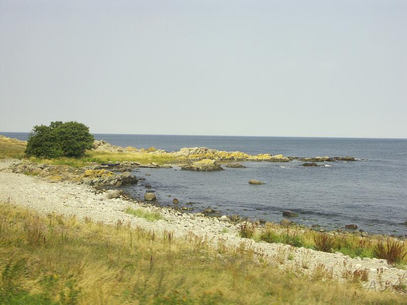 PICT1536.JPG