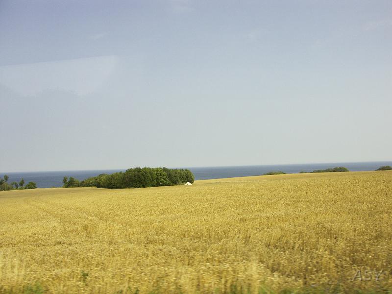 PICT1539.JPG