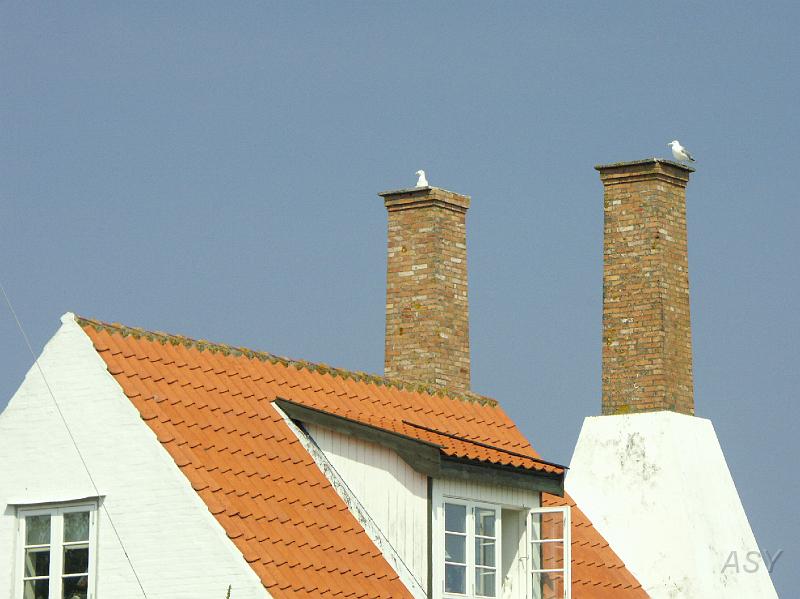 PICT1543.JPG