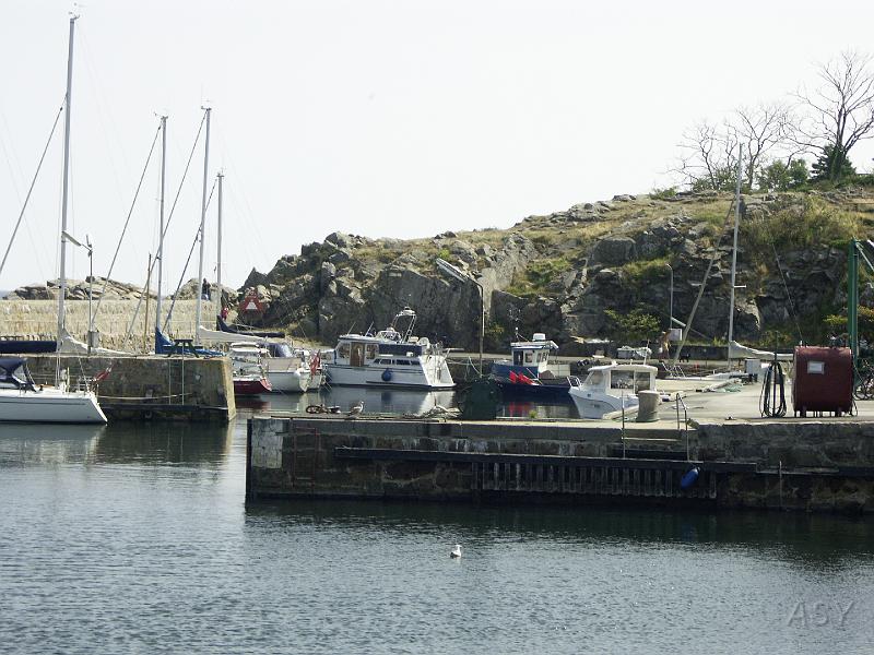 PICT1546.JPG