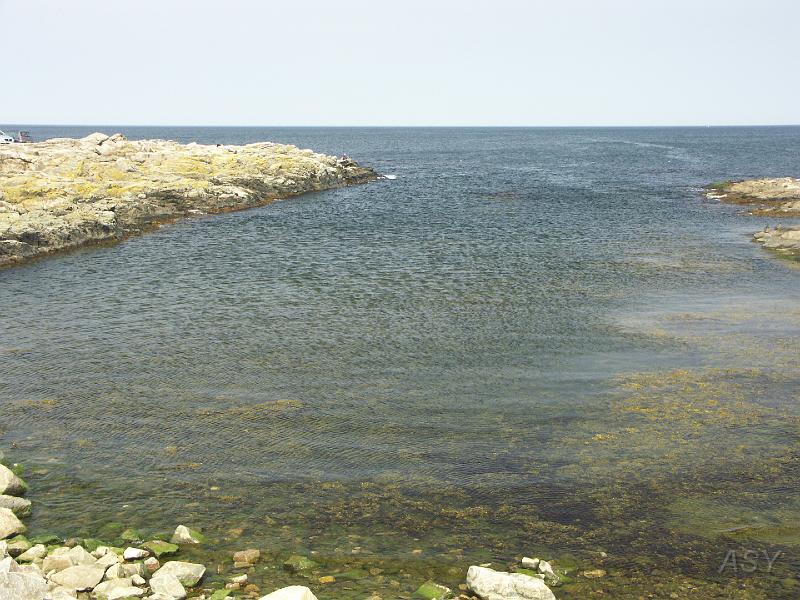 PICT1568.JPG