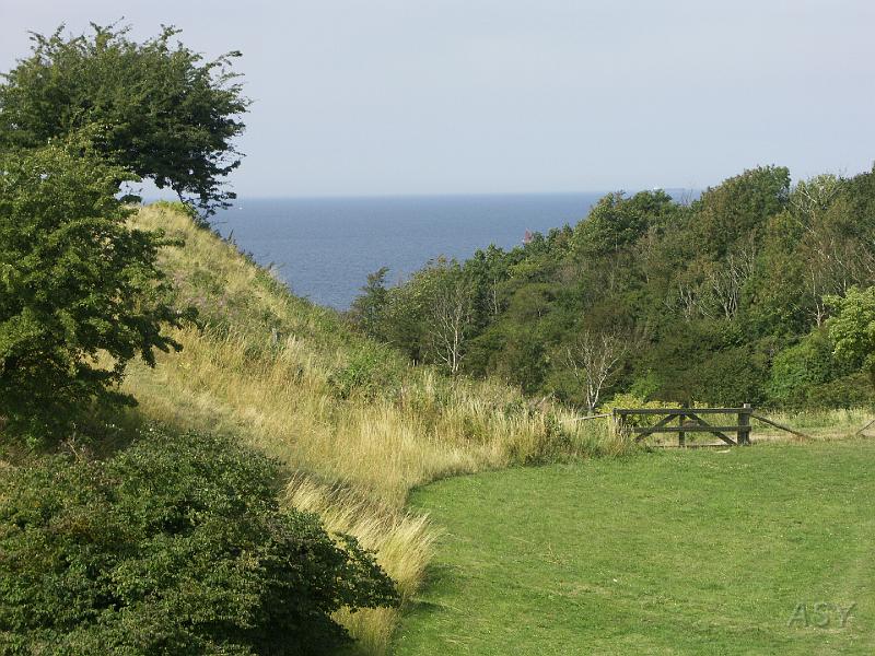 PICT1596.JPG