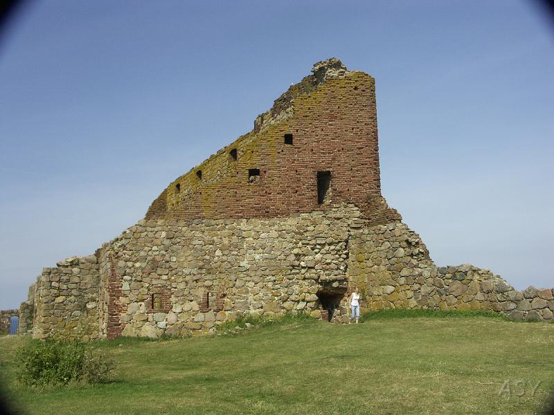 PICT1597.JPG