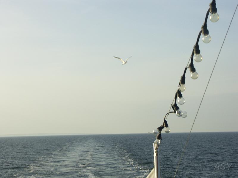 PICT1649.JPG