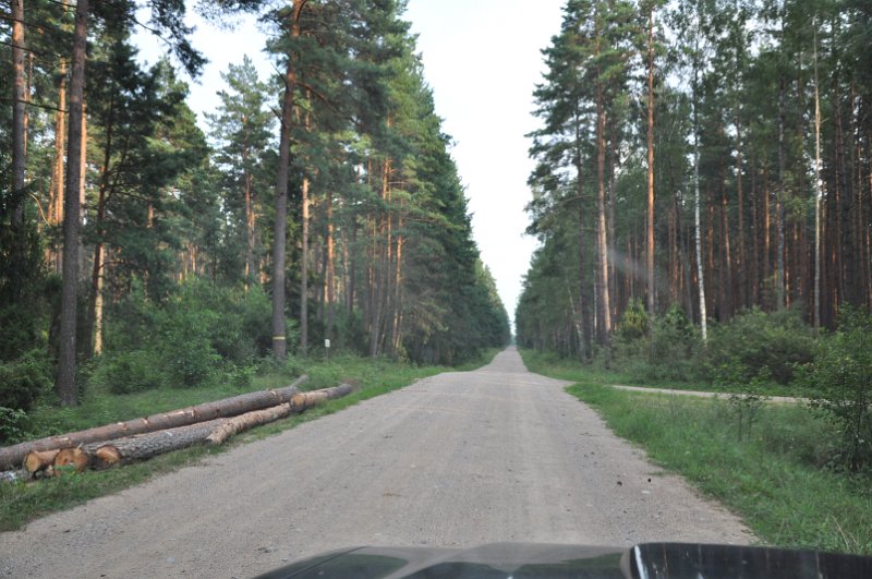 DSC_0518.JPG