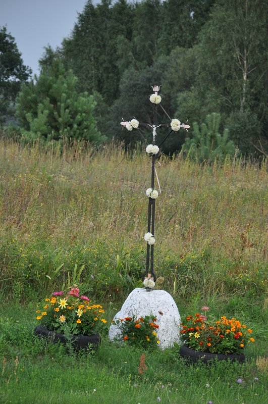 DSC_0530.JPG