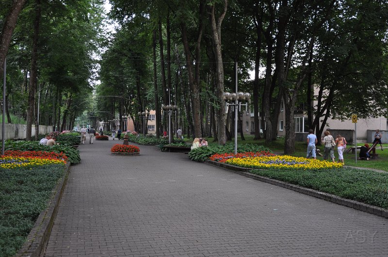 DSC_0539.JPG