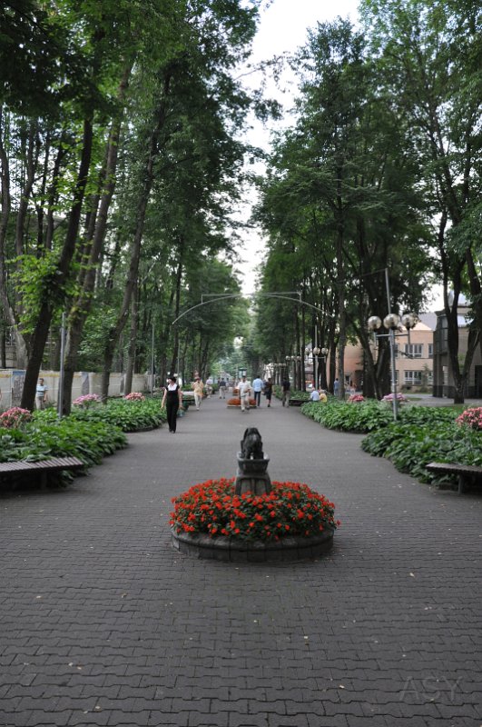 DSC_0540.JPG