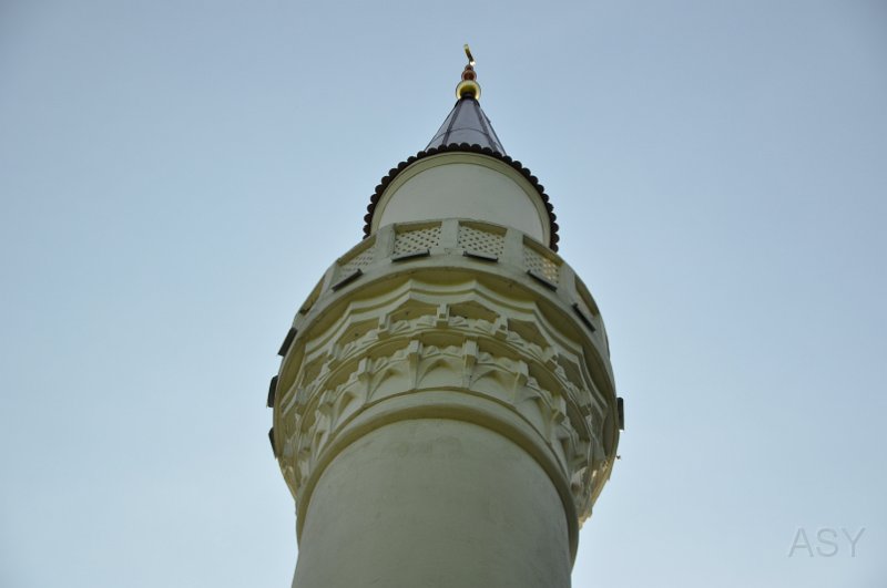 DSC_0141.JPG