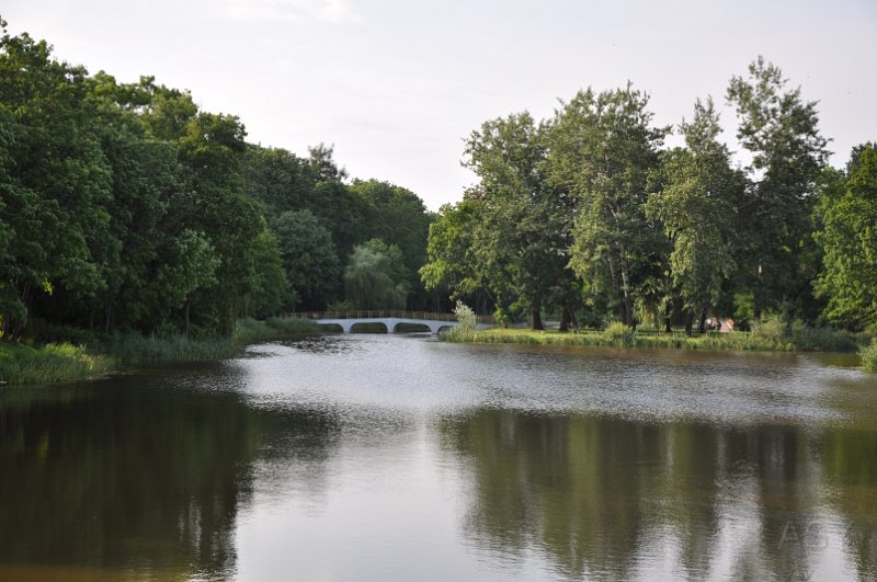 DSC_0146.JPG - Piękny park. Czy pozostało coś z pałacu lub zamku?