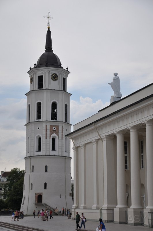 DSC_0331.JPG