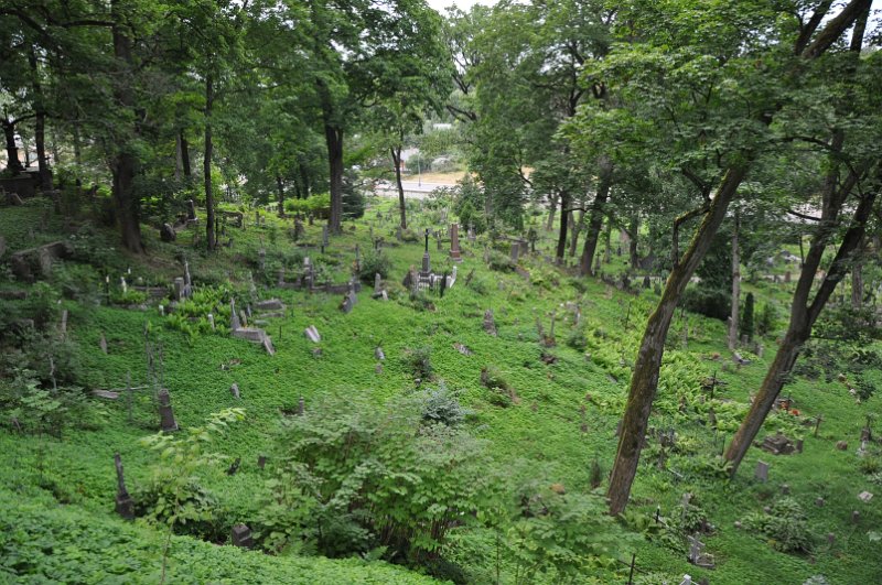 DSC_0430.JPG