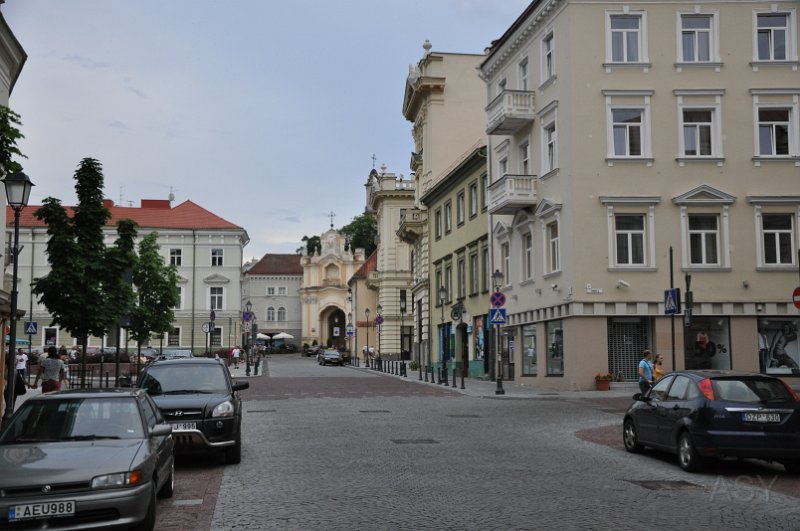 DSC_0446.JPG