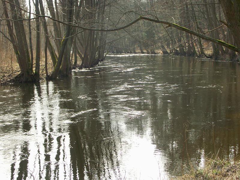 PICT0246.JPG