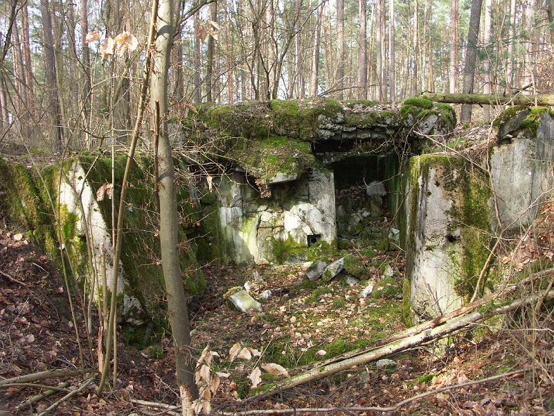 PICT0248.JPG