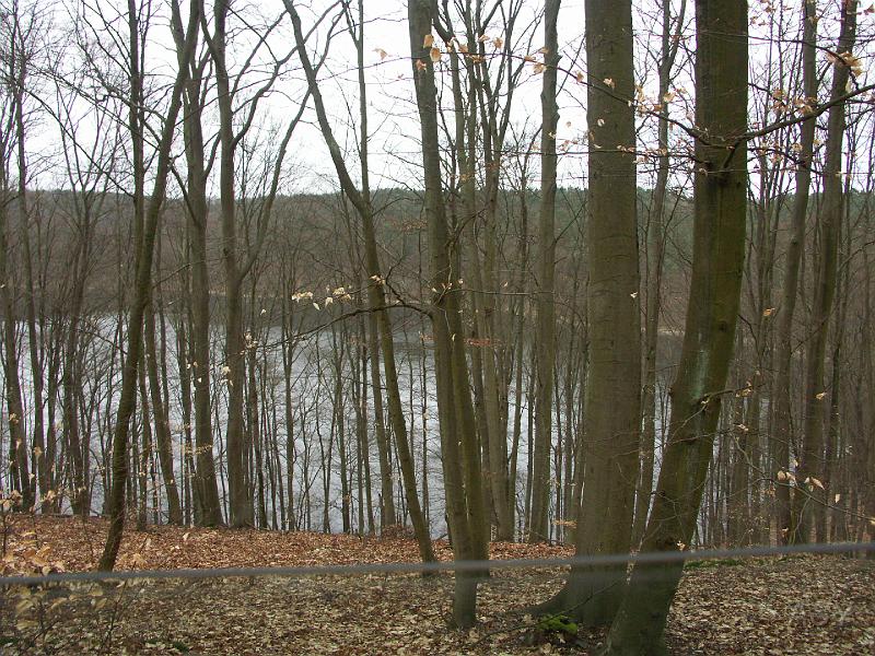 PICT0311.JPG