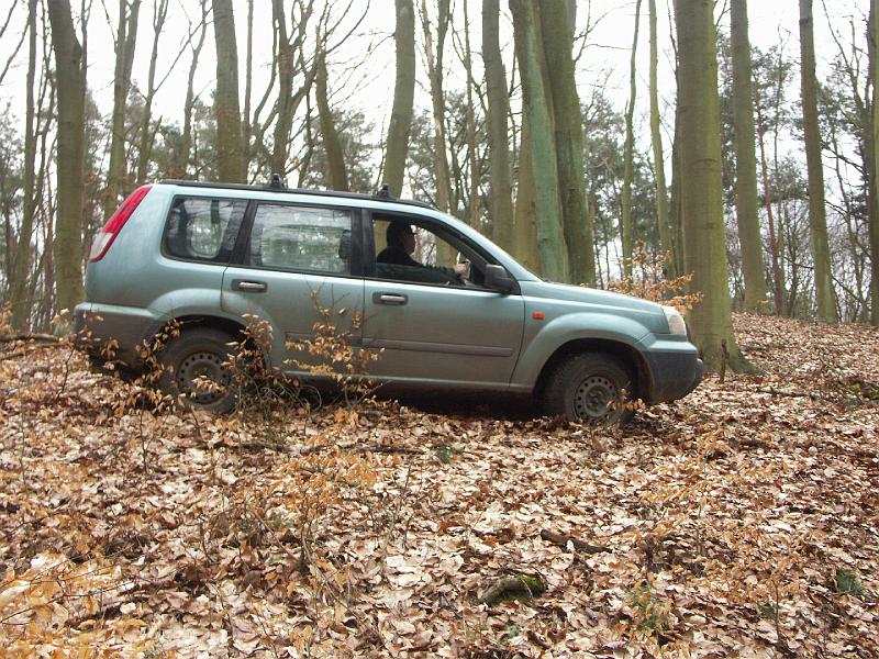 PICT0317.JPG