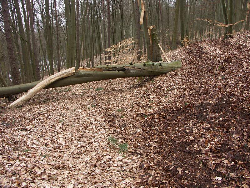 PICT0321.JPG