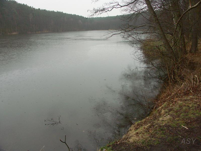 PICT0351.JPG