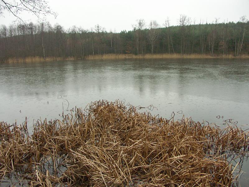 PICT0352.JPG