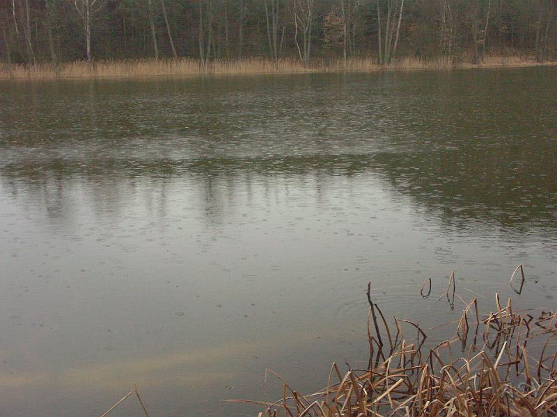 PICT0360.JPG