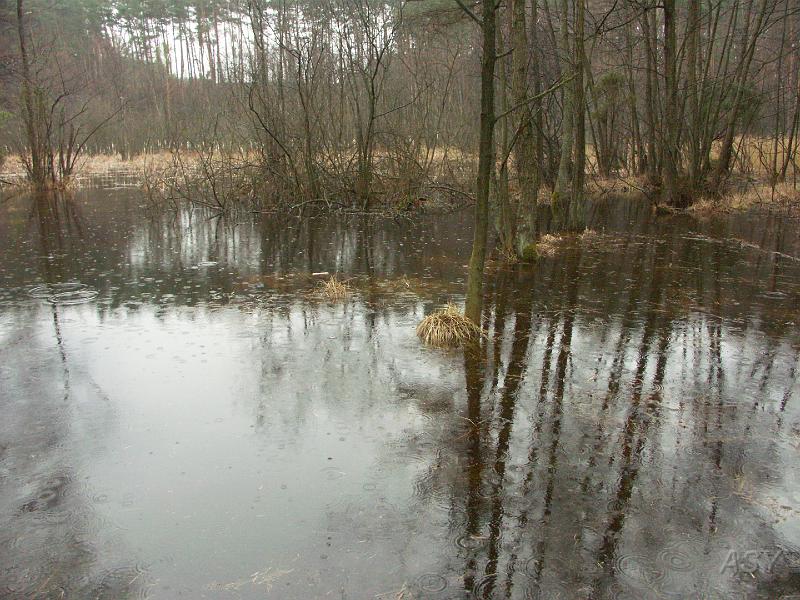 PICT0363.JPG