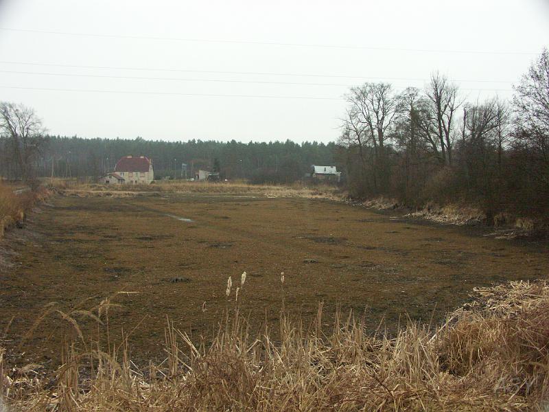 PICT0368.JPG