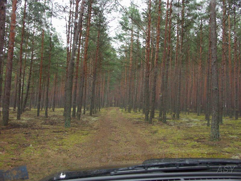 PICT0369.JPG