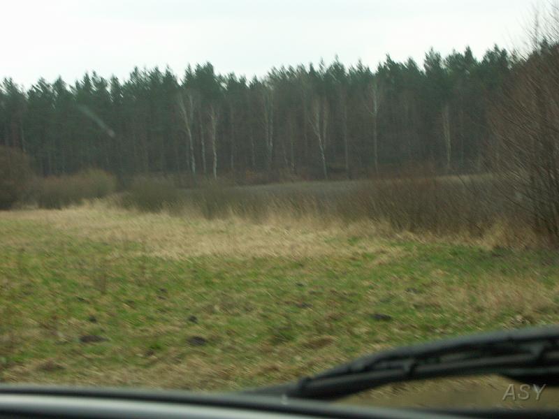 PICT0383.JPG