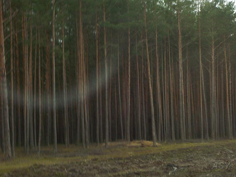 PICT0398.JPG