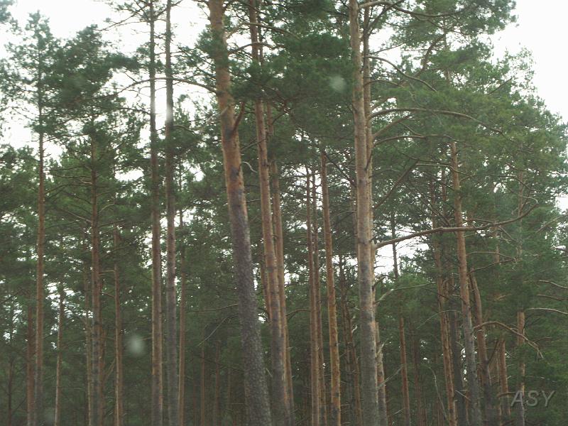 PICT0399.JPG
