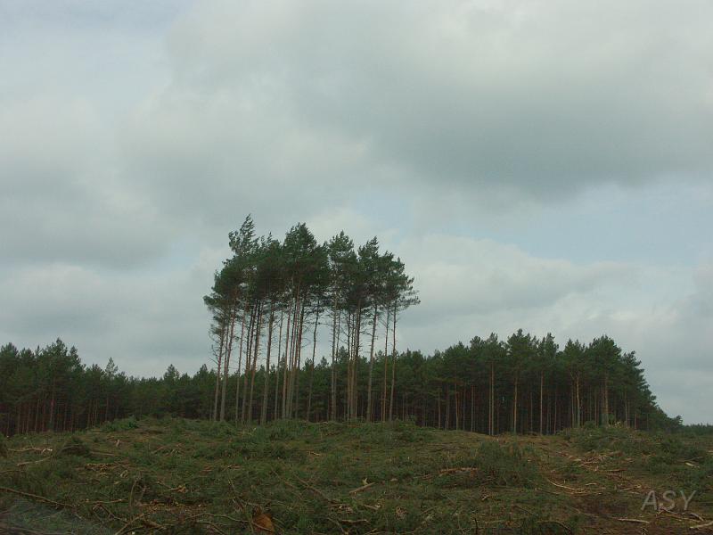 PICT0405.JPG
