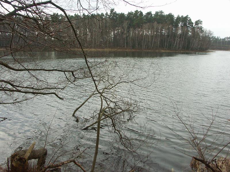 PICT0412.JPG