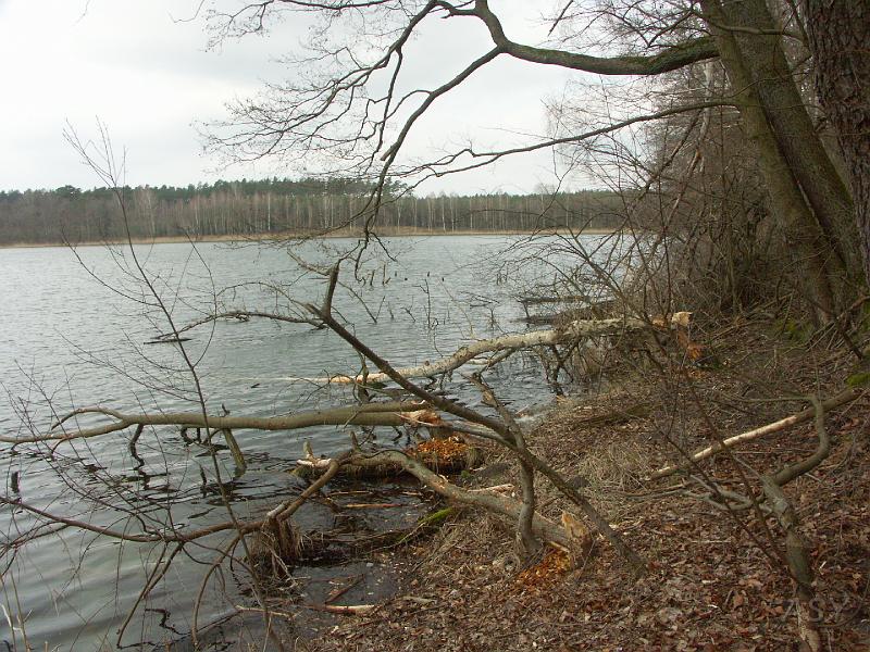 PICT0413.JPG