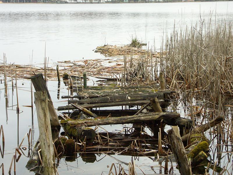 PICT0434.JPG