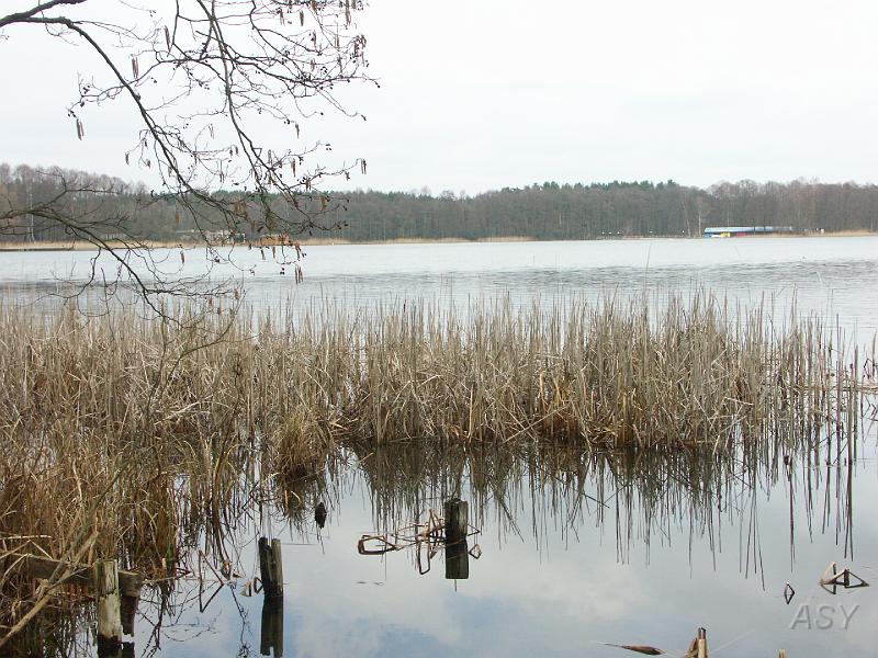 PICT0435.JPG