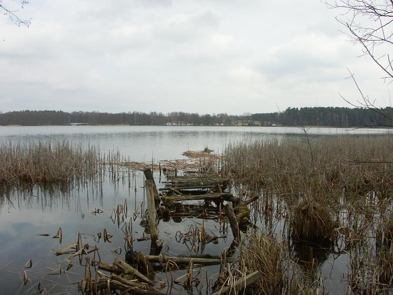 PICT0436.JPG