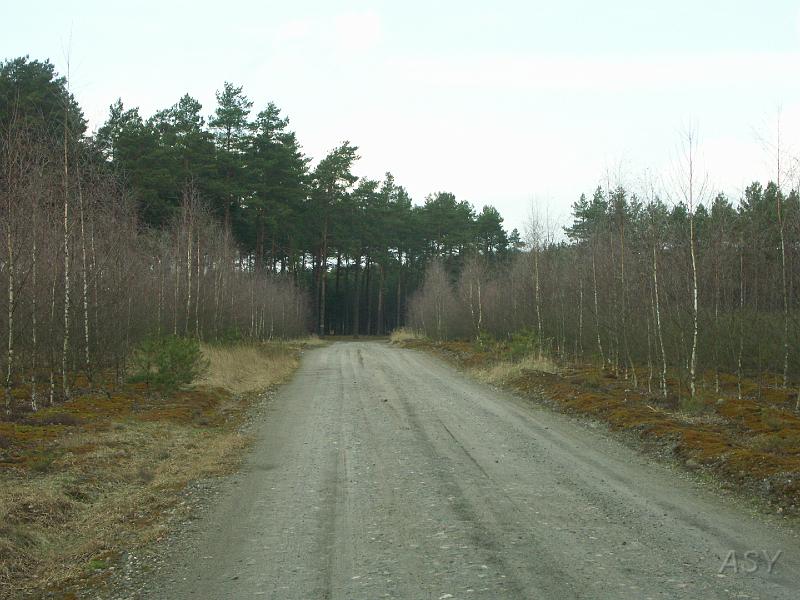 PICT0450.JPG