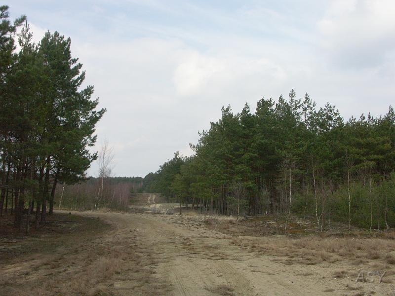 PICT0468.JPG