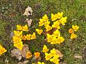 PICT0274