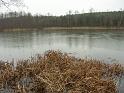 PICT0352