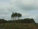 PICT0405