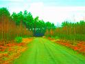 PICT0451