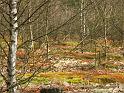 PICT0453