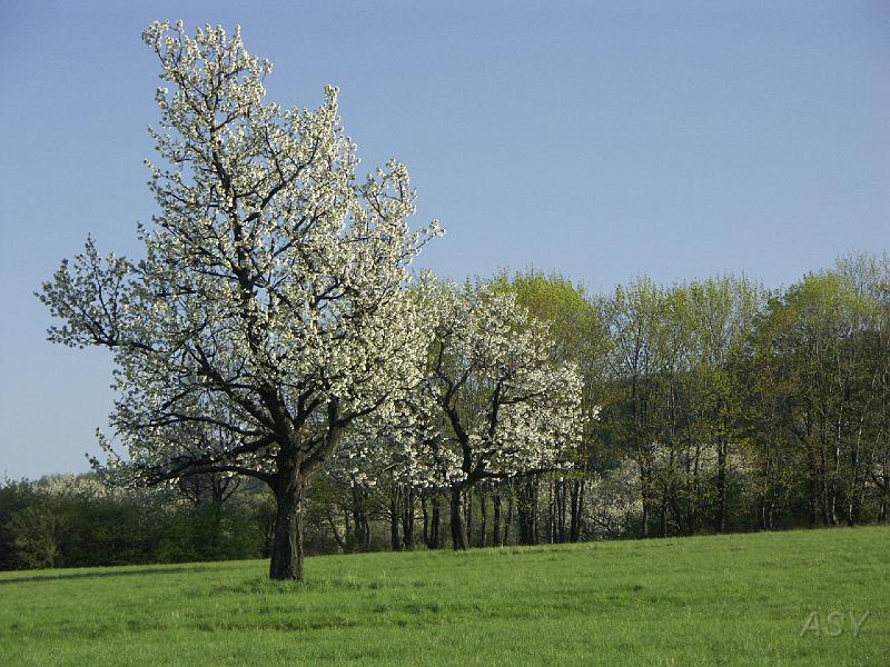 PICT5560.JPG