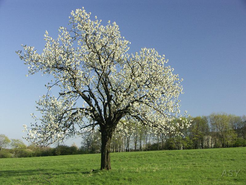 PICT5561.JPG