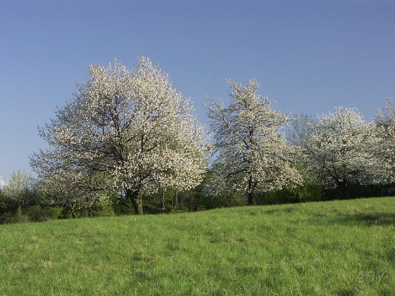 PICT5562.JPG